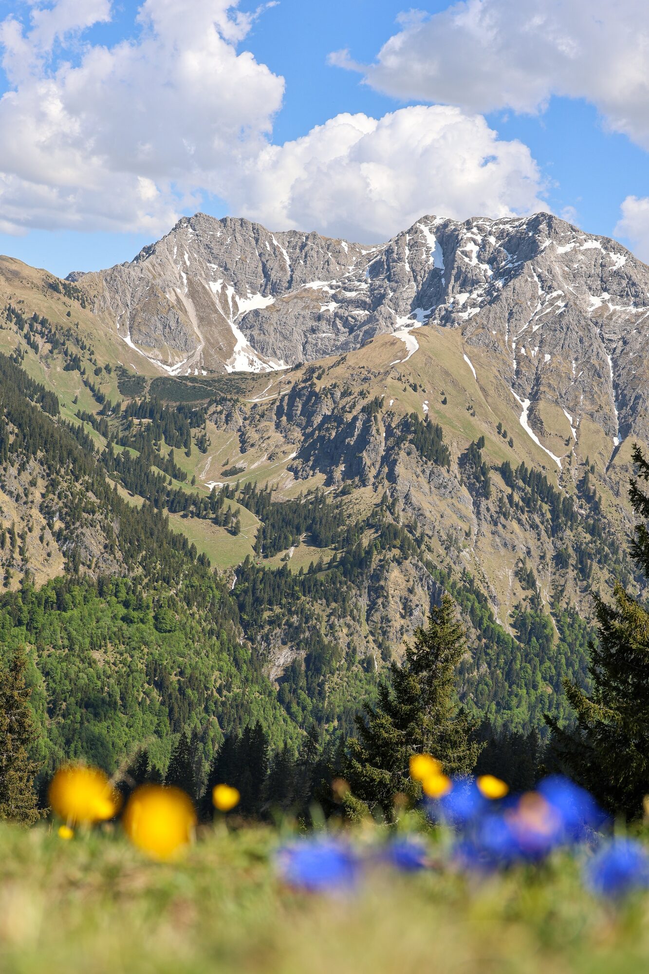 Example photo, the original image used for this canvas preview